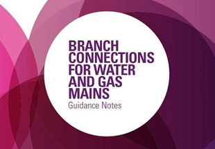 Branch connections for water and gas mains